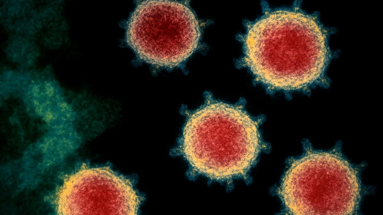 Covid e varianti: la nuova sindrome che sta dividendo gli italiani in due gruppi Thu May 22 2025 09:46:33 GMT+0000 (Coordinated Universal Time)"